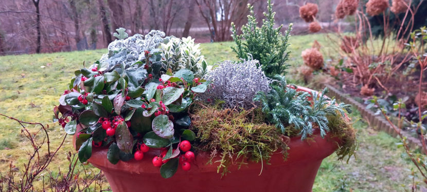  - 2024 - 04 - 2025 - 00 - Iarna