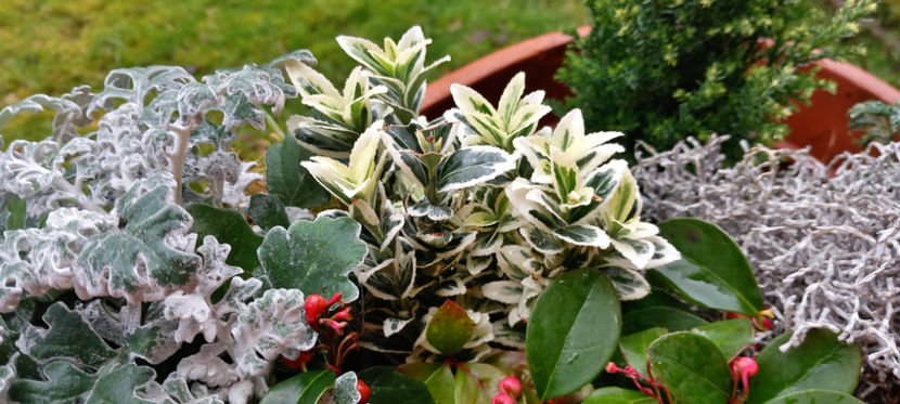  - 2024 - 04 - 2025 - 00 - Iarna