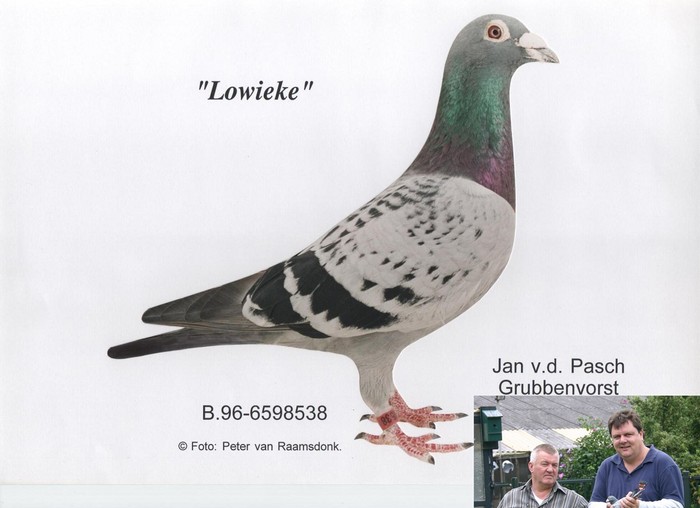 Lowieke