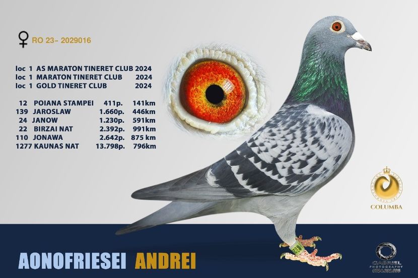 6b3dbfc9-1bc4-4e15-b92a-c153618ec7f1-1_all_12555 - Porumbeii mei februarie 2025