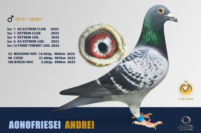 6b3dbfc9-1bc4-4e15-b92a-c153618ec7f1-1_all_12556 - Porumbeii mei februarie 2025