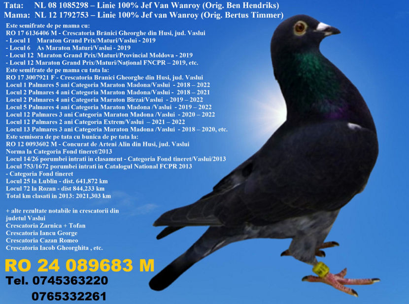 RO 24 089683 M REZERVAT BUZAU 2 - ARHIVA