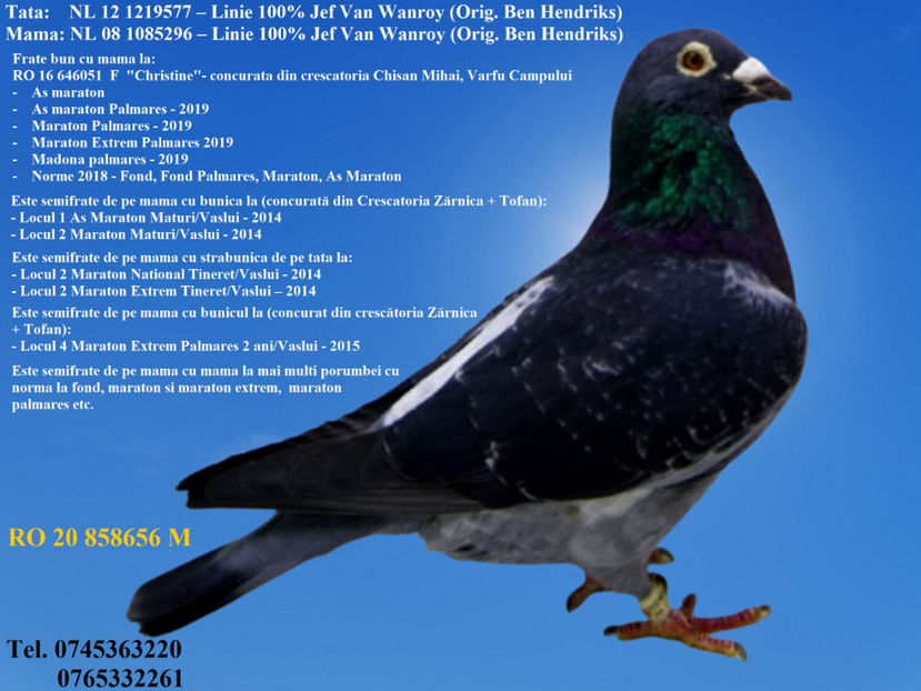 RO 20 858656 M Pret 350 Lei + transportul - ARHIVA