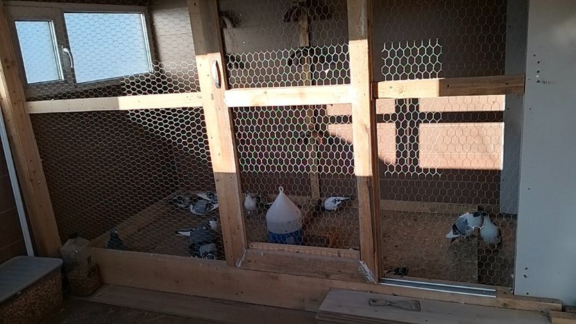 IMG20241213144219_01 - Jucători de Galați