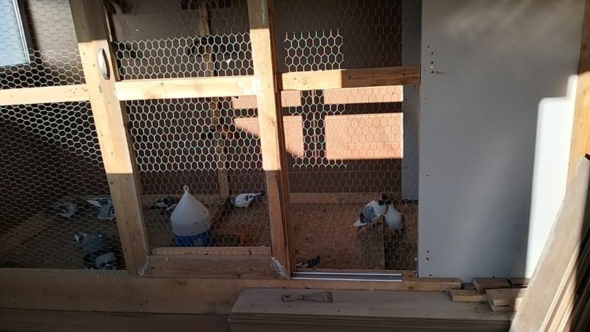 IMG20241213144217_01 - Jucători de Galați