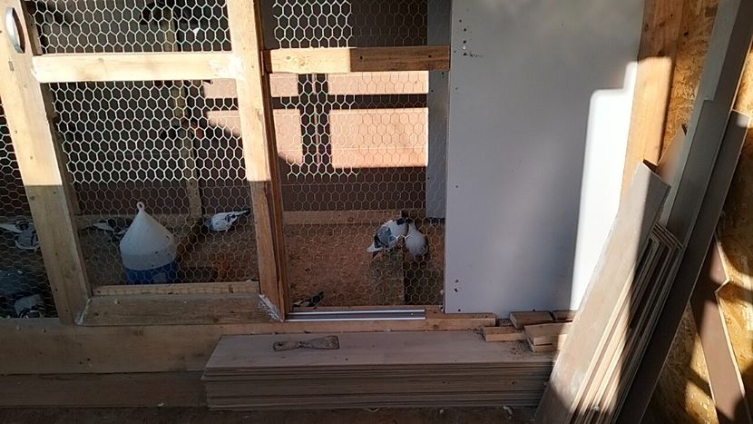 IMG20241213144216_03 - Jucători de Galați