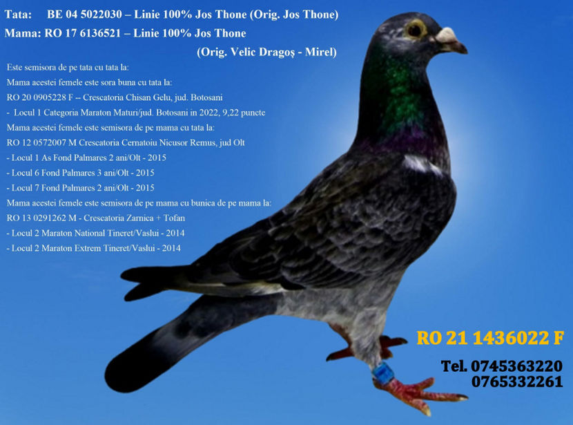 RO 21 1436022 F REZERVATA BUZAU 2 - ARHIVA