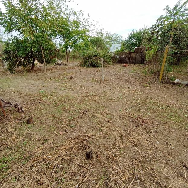  - Casa de la Frumusani
