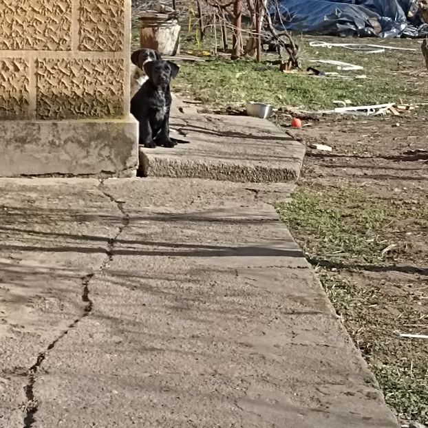  - Casa de la Frumusani