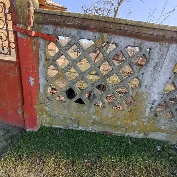  - Casa de la Frumusani