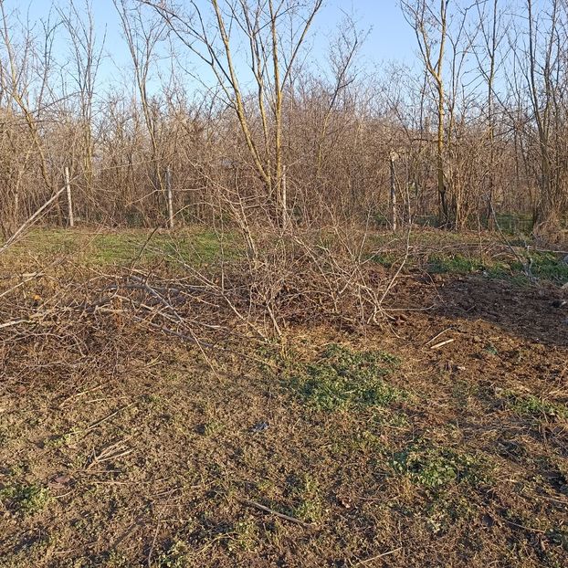  - Casa de la Frumusani