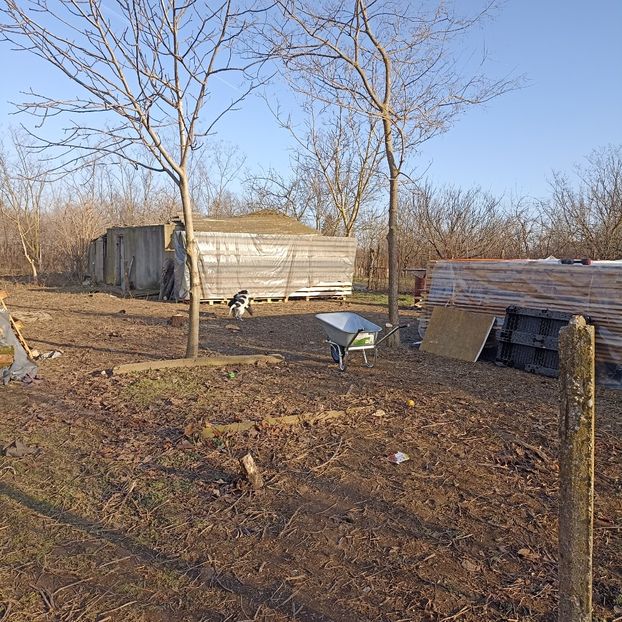  - Casa de la Frumusani