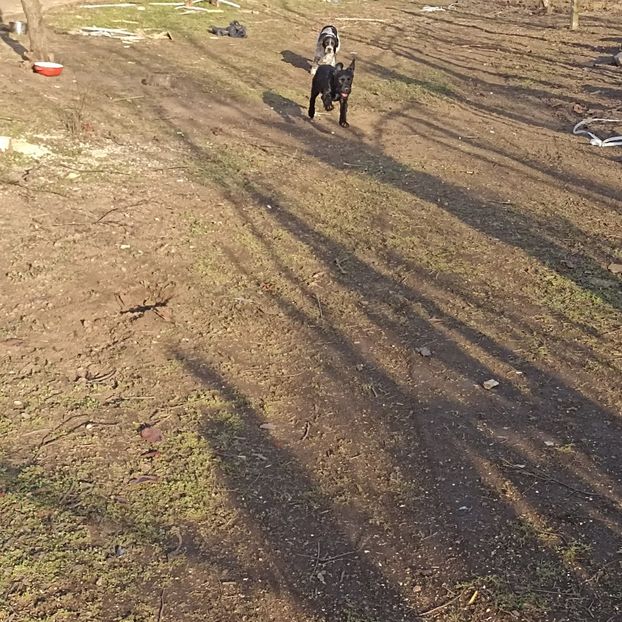  - Casa de la Frumusani