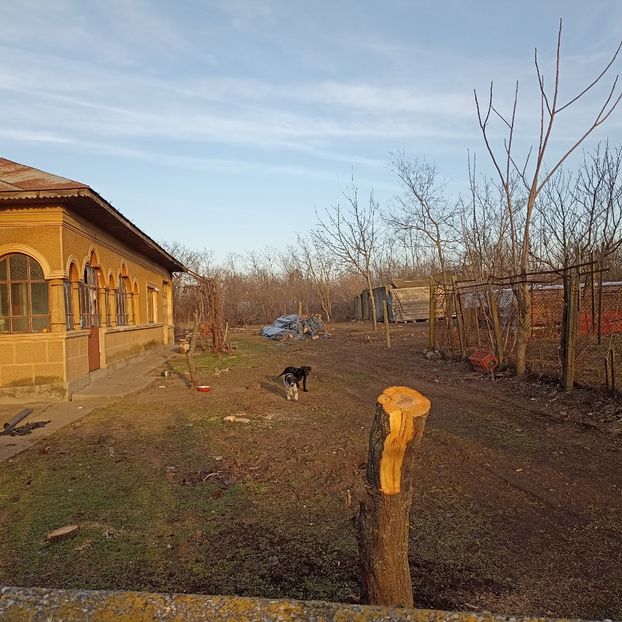  - Casa de la Frumusani