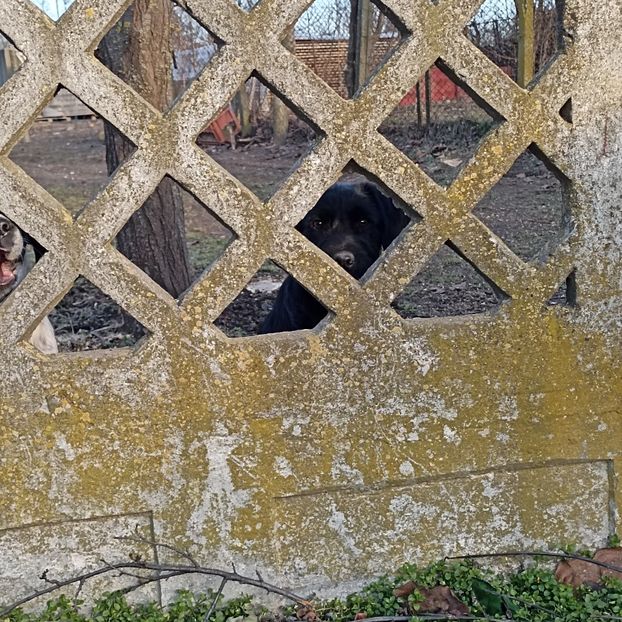  - Casa de la Frumusani