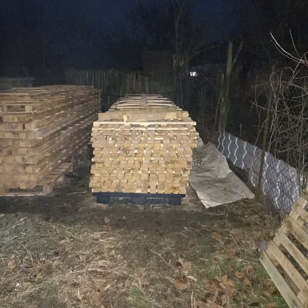  - Casa de la Frumusani