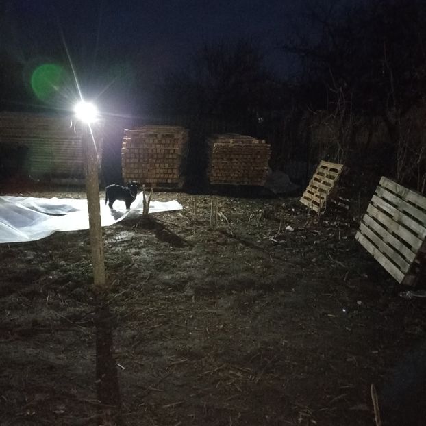  - Casa de la Frumusani