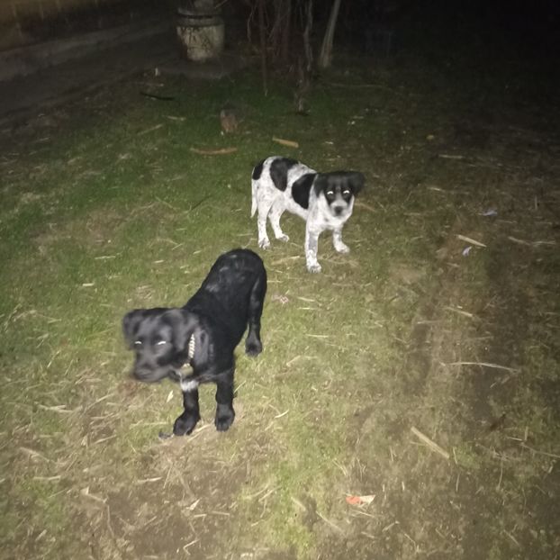  - Casa de la Frumusani