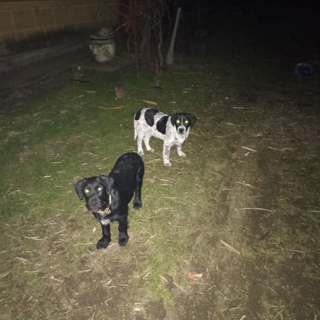  - Casa de la Frumusani