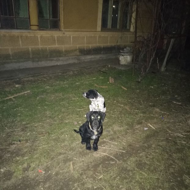  - Casa de la Frumusani