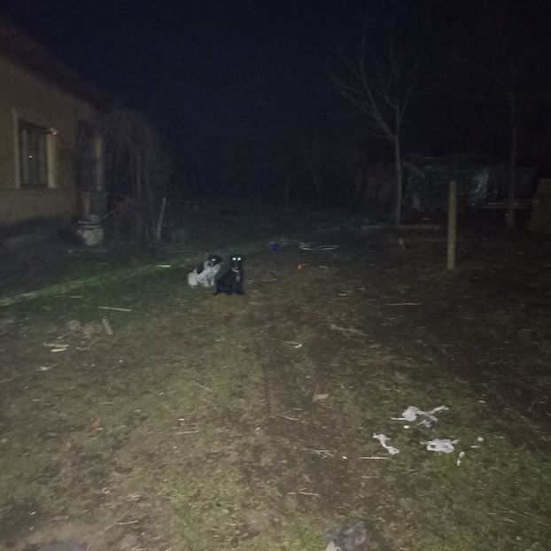  - Casa de la Frumusani