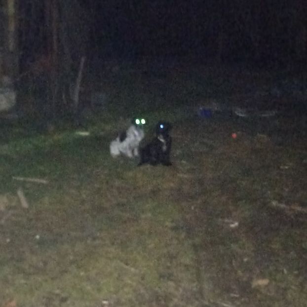  - Casa de la Frumusani