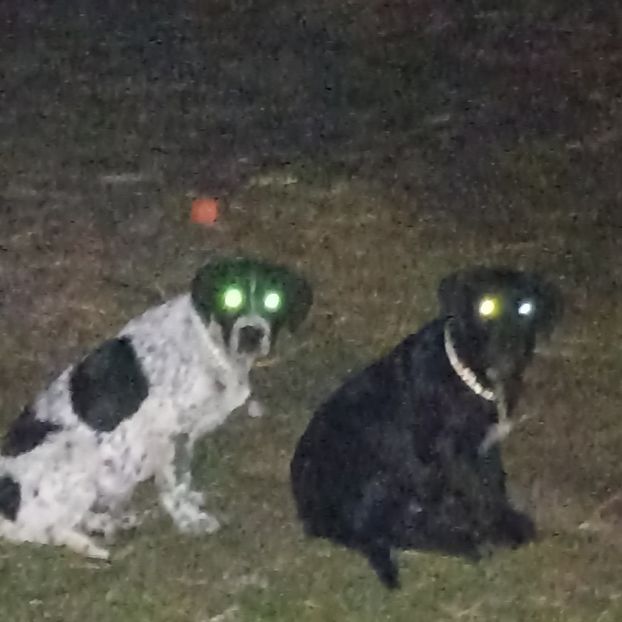  - Casa de la Frumusani