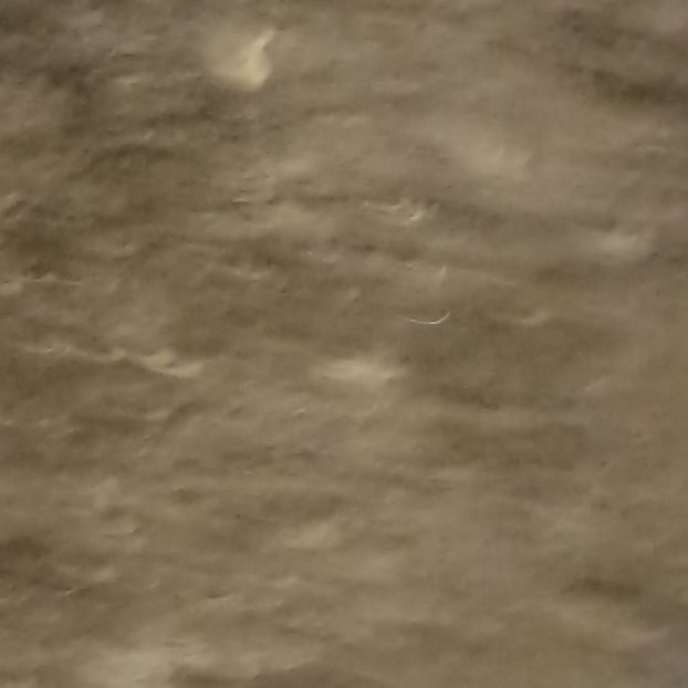  - Casa de la Frumusani