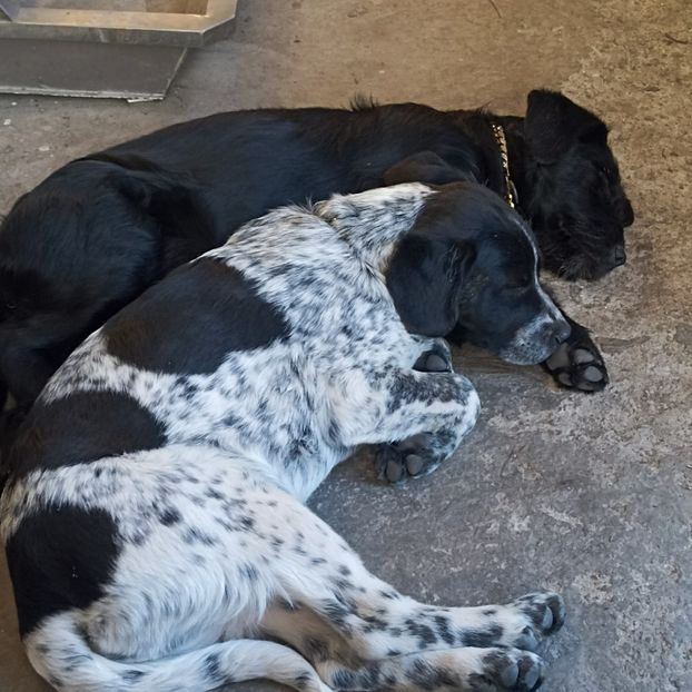  - Casa de la Frumusani