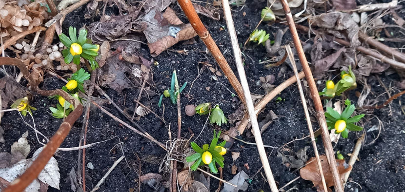  - 2024 - 04 - 2025 - 00 - Iarna