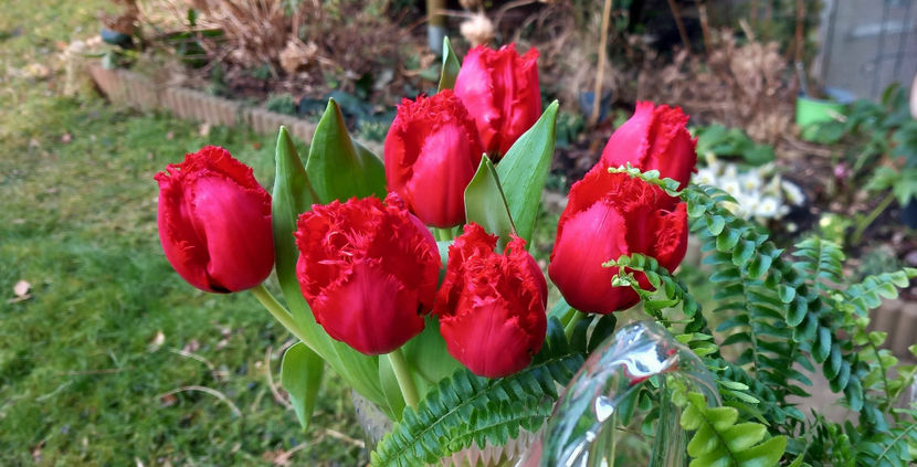  - 2024 - 04 - 2025 - 00 - Iarna