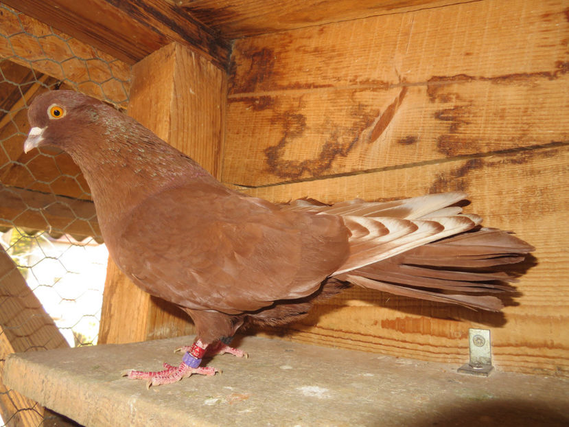 12 feb. 25 - Ceva de 2024