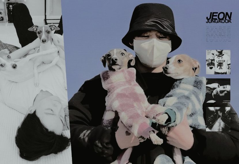 ◞12ᵗʰ◟　˓Ꭻe̤o̤n̤ꨄᎫungkook➲Go̟l̟d̟e̟n̟영혼. - Decay of Divine