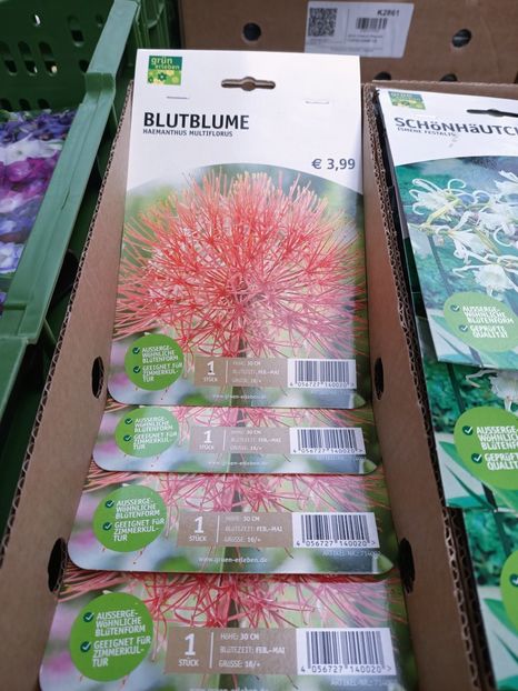 Img.2025.02.13 - Magazinul 5