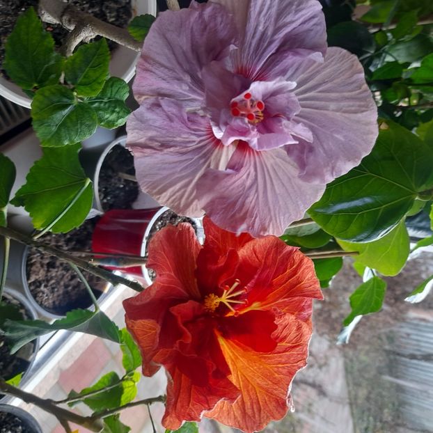  - Diamonds are forever