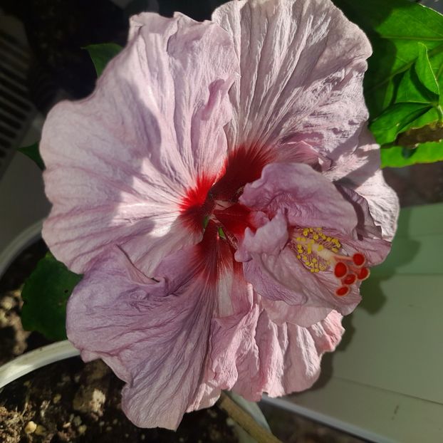  - Diamonds are forever