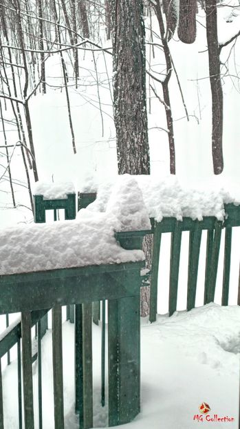 Quebec Winter - CANADIAN WINTER - Iarna Canadiana