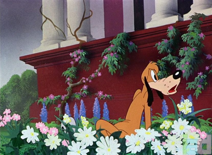Ding Dog Daddy - 1942 - Ding Dog Daddy