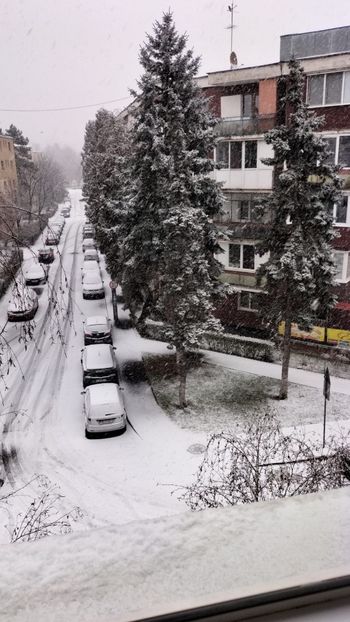 Imagine WhatsApp 2024-12-24 la 09.38.22_44b7e9d2 - 2024 CRĂCIUN