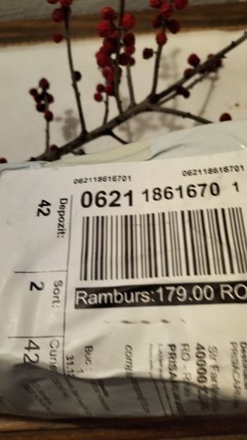 Imagine WhatsApp 2025-01-14 la 09.04.19_fe70ea24 - 2025 OPERAȚIE PICIOR BUNICU 5 IAN-5 FEBR