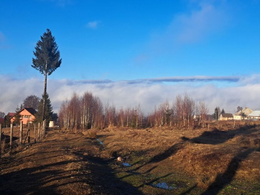  - 2025 IAN 24 RÂȘCA