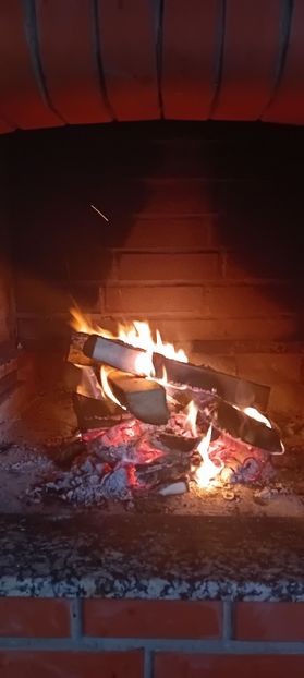  - 2025 IAN 24 RÂȘCA