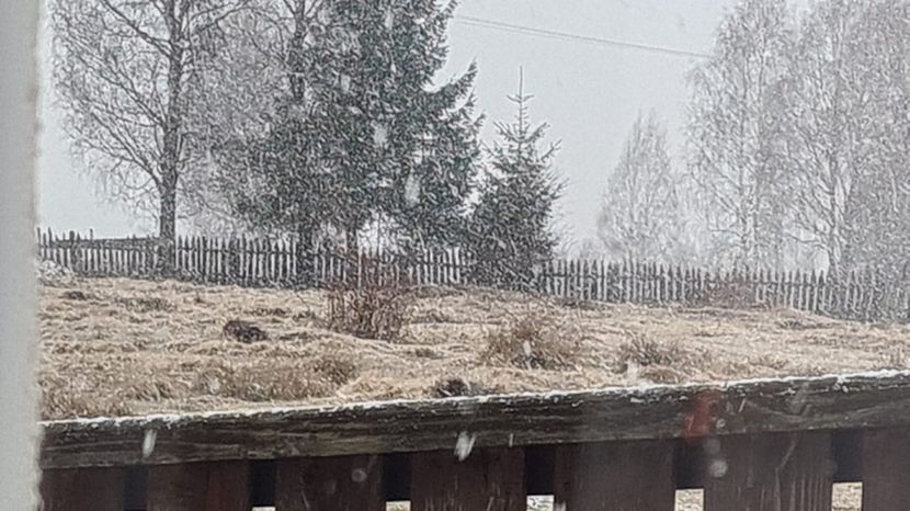 Imagine WhatsApp 2025-01-24 la 12.26.29_c15506d6 - 2025 IAN 24 RÂȘCA