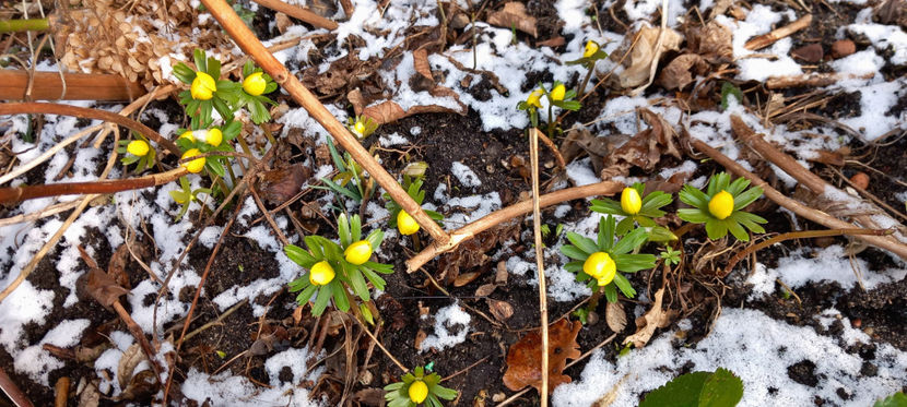 Iarna nu se lasa! - 2024 - 04 - 2025 - 00 - Iarna