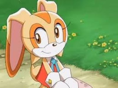  - Adopta Sonic X