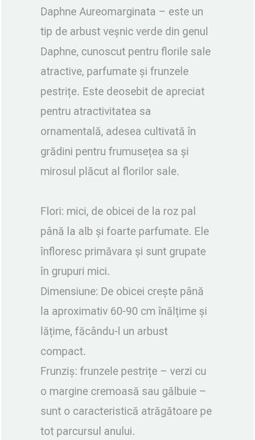 Screenshot_20250220_200449_com.android.chrome_edit_33938282551591 - aaaa Comanda plante 2025