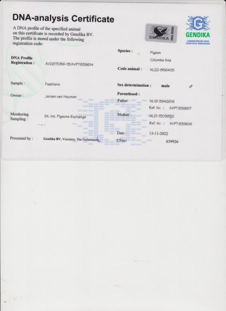 NL22 8564131 DNAx - Fildan Mitch