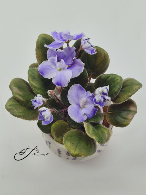  - OS-Zhemchug Iskanyi