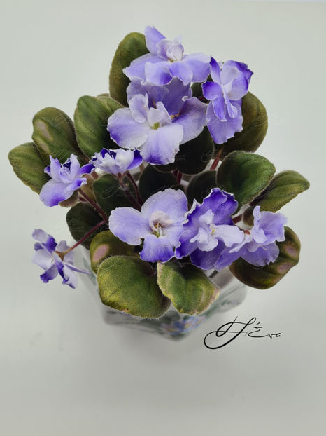  - OS-Zhemchug Iskanyi