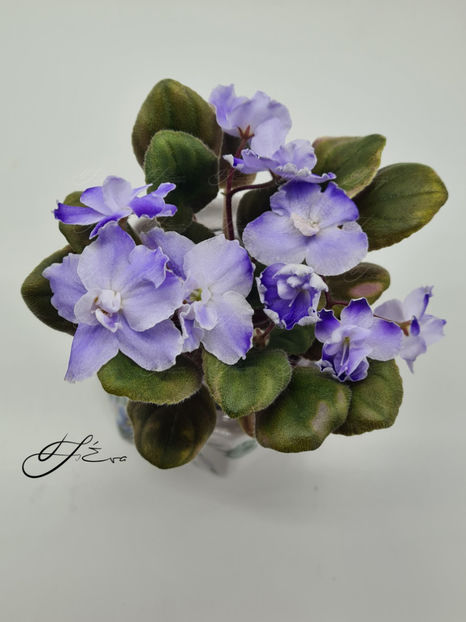  - OS-Zhemchug Iskanyi